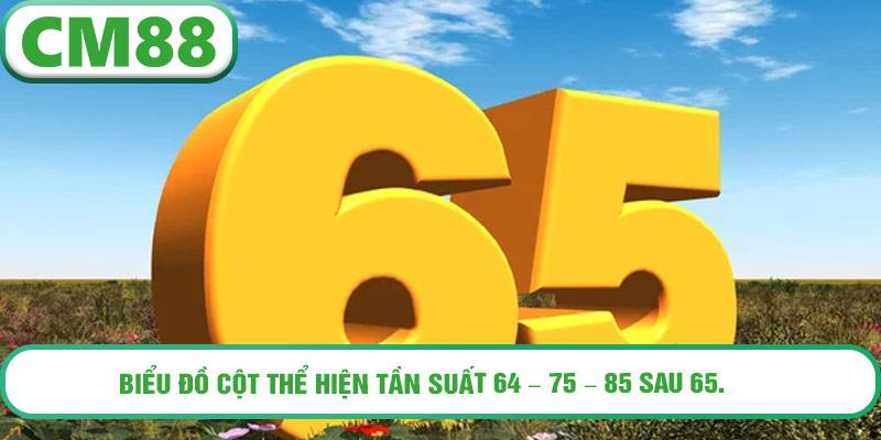 bieu-do-cot-the-hien-tan-suat-64-–-75-–-85-sau-65